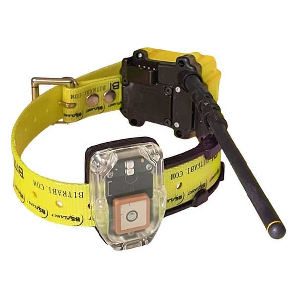 Bitrabi Mito 5100 Gps Hundehalsbånd