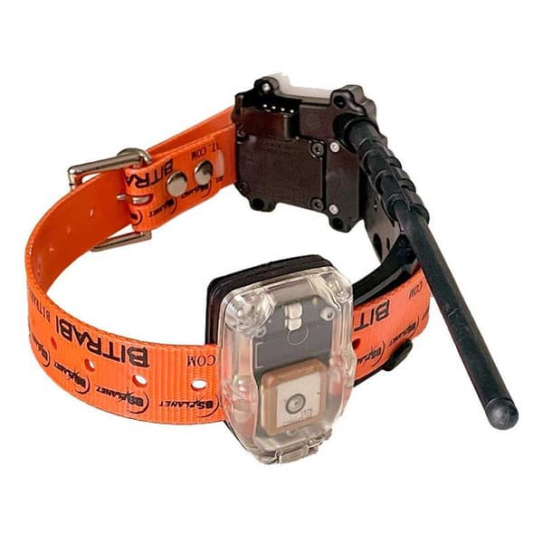 Bitrabi Mito 5300 Combi Gps Hundhalsband