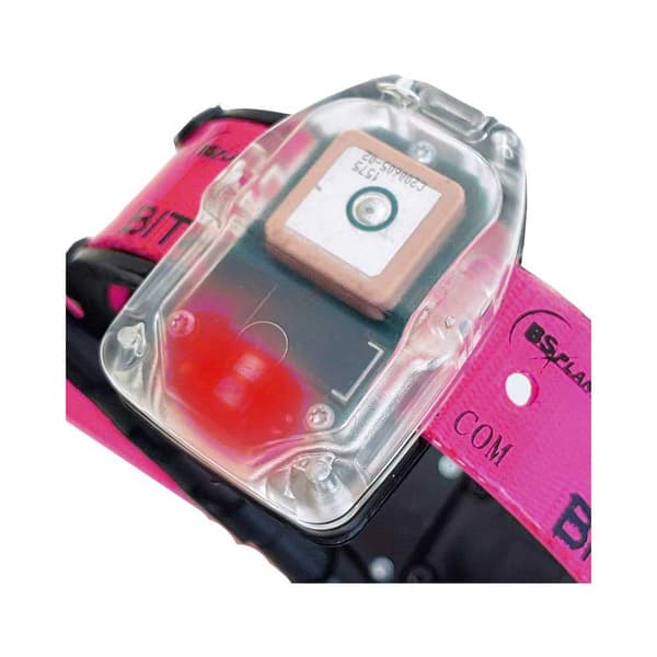 Bitrabi Mito 5300 Combi Gps Hundehalsbånd