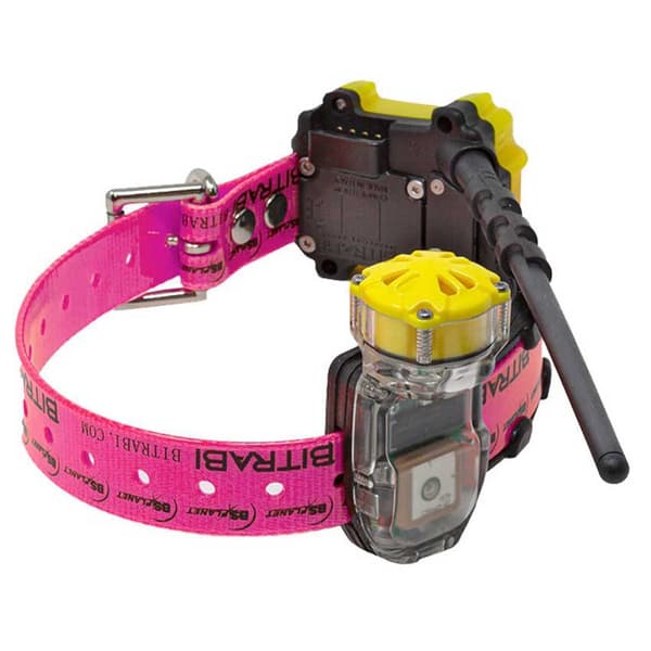 Bitrabi Mito 5300 Combi Gps Hundehalsbånd