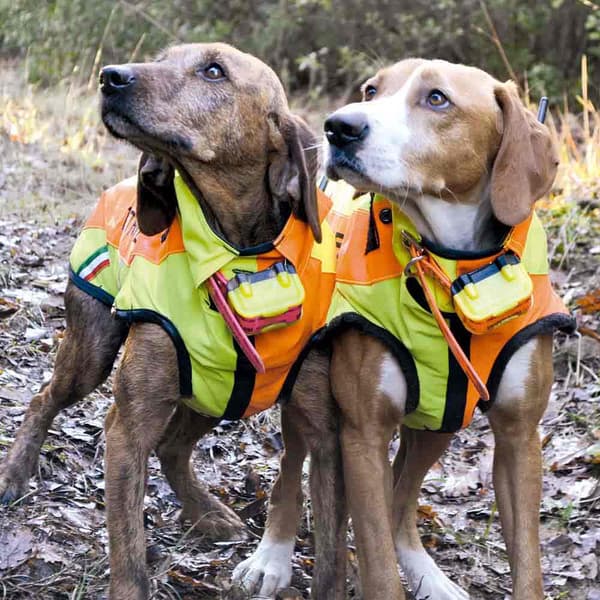 Bitrabi Sigurdog Hundejakke  66-70 cm
