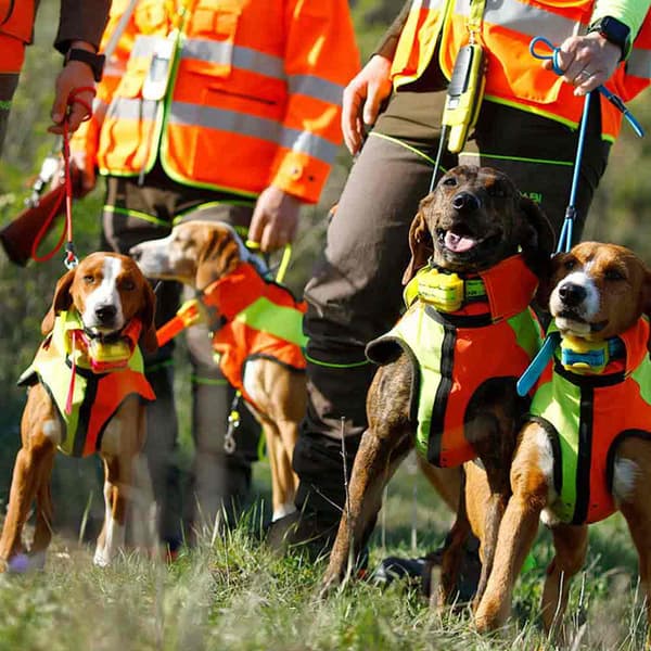 Bitrabi Sigurdog Hundejakke  66-70 cm
