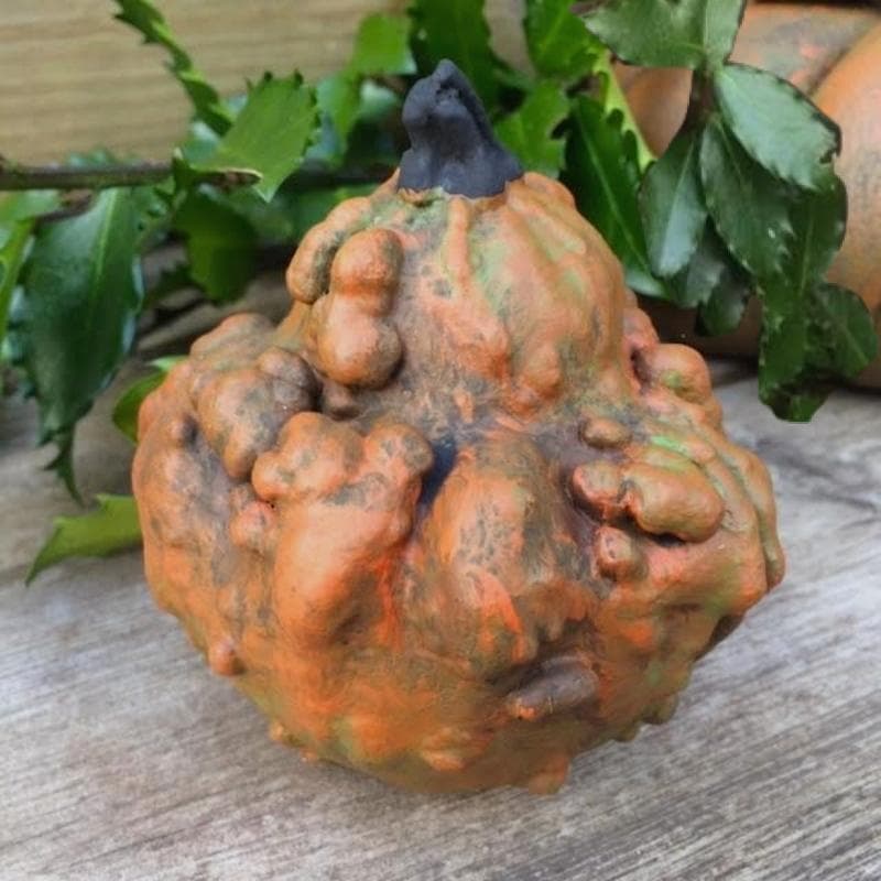 Gjutform - Knölig pumpa