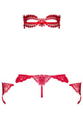 Miniatyrbillede 4 af 4: Obsessive Hetea 3 pcs Set Red