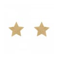 Pikkukuva 2 / 5: Kullanväriset Flash Star- nännikoristeet Bijoux Indiscrets 135