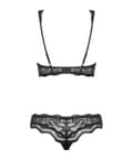 Miniatyrbilde 6 av 6: Obsessive - Luvae Bra Set