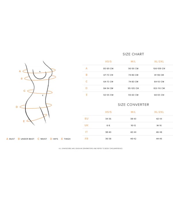 Suspender Bodystocking m/ Bodysuit Design