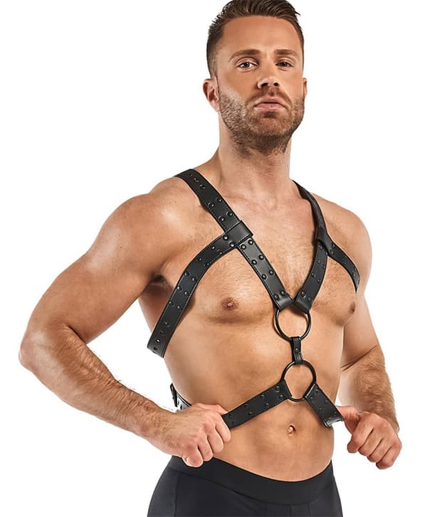 Bedroom Fantasies Rocco Bondage Harness