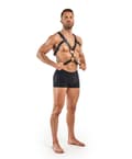 Miniatyrbilde 4 av 6: Bedroom Fantasies Rocco Bondage Harness