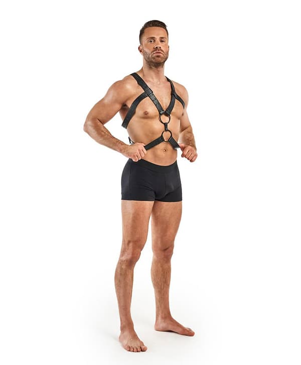 Bedroom Fantasies Rocco Bondage Harness