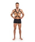 Miniatyrbilde 5 av 6: Bedroom Fantasies Rocco Bondage Harness