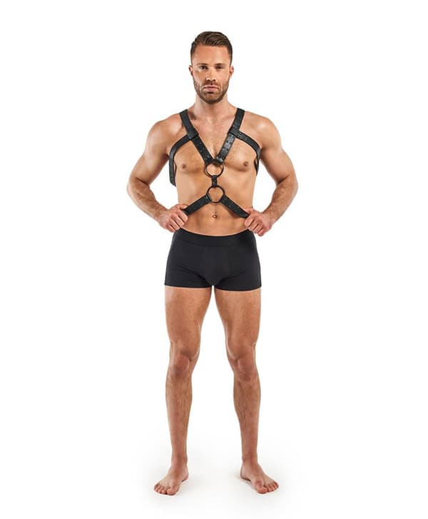 Bedroom Fantasies Rocco Bondage Harness