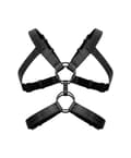 Miniatyrbilde 1 av 6: Bedroom Fantasies Rocco Bondage Harness