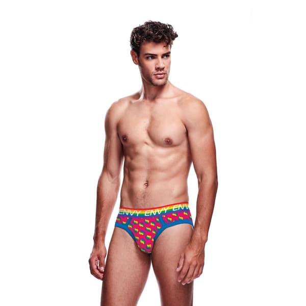 Klassiska underbyxor Envy Multicolour L/XL