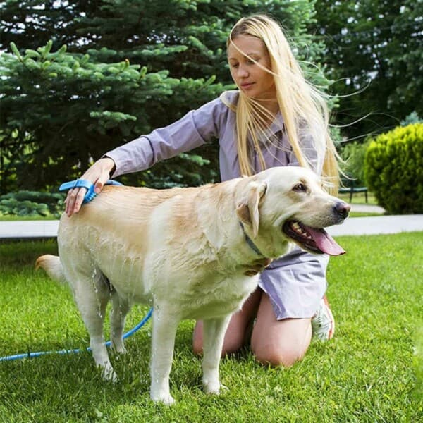 Brusebørstehandske til dyr - pelspleje vask hund kæledyr