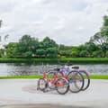 Miniatyrbillede 3 af 8: Cykelstativ til 3 cykler