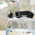 Miniatyrbillede 6 af 11: Vandfyldt Kettle Bell til Fitness Træning med Motion Guide Fibell InnovaGoods
