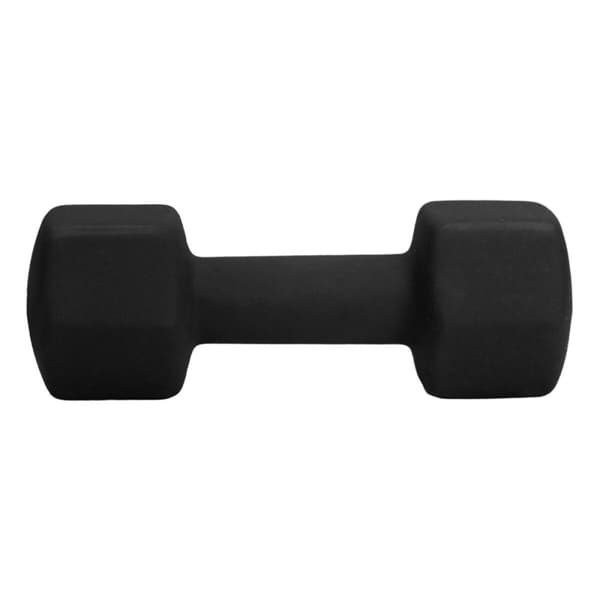 Bumbbells Fitpaddy Sort