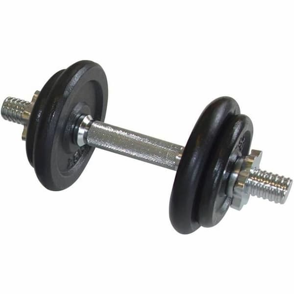 Kettlebell och hantelsats Schildkröt