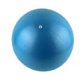 Miniatyrbild 2 av 2: MASTER gymboll 26 cm