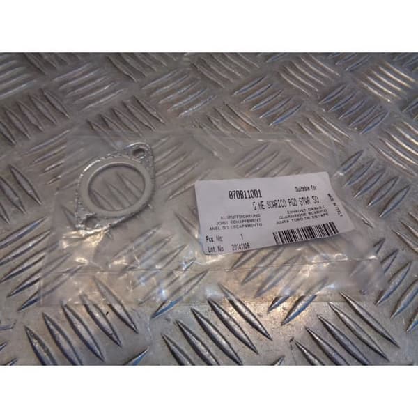 avgaspackning skoter pgo 50 comet galaxy star centauro 870B11001 bihr 656014