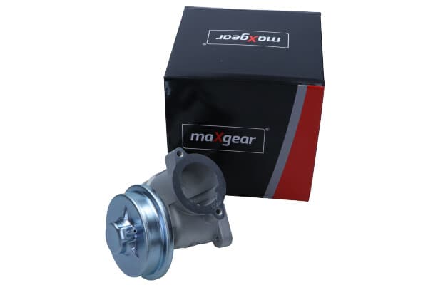 MAXGEAR EGR-VENTIL FORD