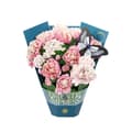 Miniatyrbillede 2 af 7: 3D Pop-up blomster lykønskningskort - Stor buket pæoner
