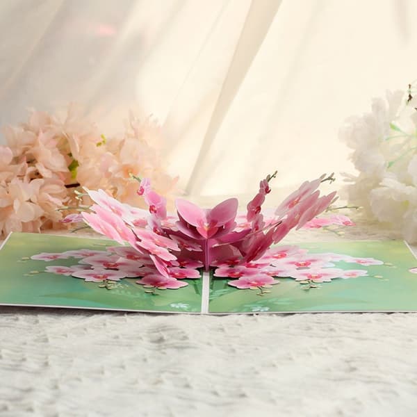 3D Pop-up Blommor Gratulationskort - Vackra Orkidéer