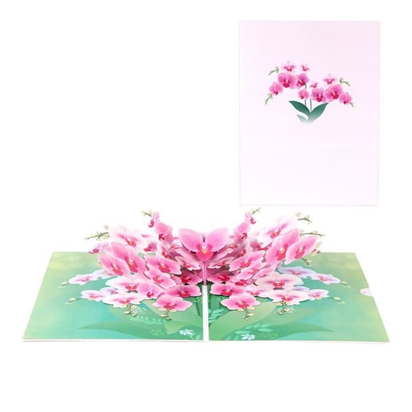 3D Pop-up Blommor Gratulationskort - Vackra Orkidéer