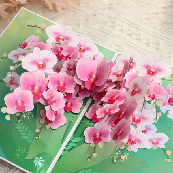 3D Pop-up Blommor Gratulationskort - Vackra Orkidéer
