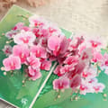 Miniatyrbild 2 av 8: 3D Pop-up Blommor Gratulationskort - Vackra Orkidéer
