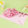 Miniatyrbild 4 av 8: 3D Pop-up gratulationskort blommor - Persikablomma