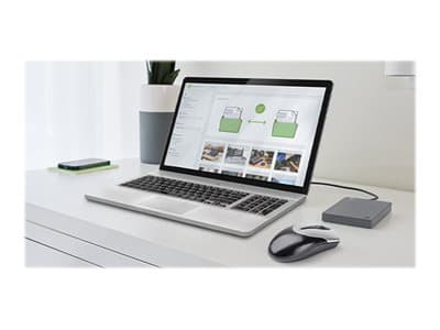 Seagate Basic STJL2000400 - Hårddisk - 2 TB - extern (bärbar) - USB 3.0 - grå
