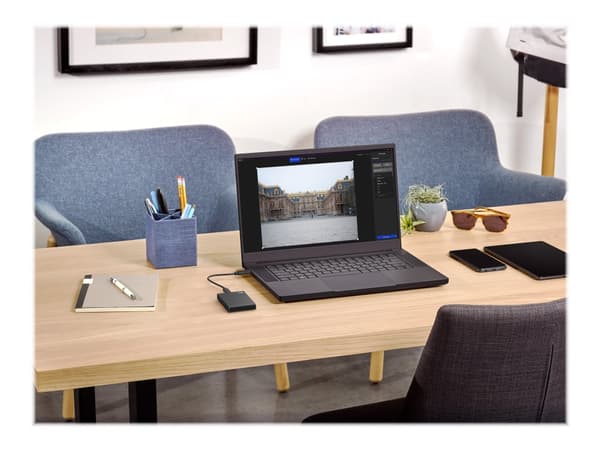Seagate One Touch SSD STKG2000401 - SSD - 2 TB - extern (bärbar) - USB 3.0 (USB-C stikforbindelse) - silver - med Seagate Rescue Data Recovery
