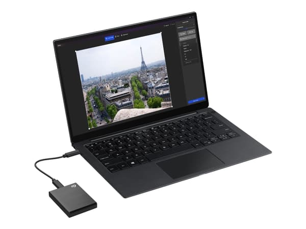 Seagate One Touch SSD STKG1000401 - SSD - 1 TB - ekstern (bærbar) - USB 3.0 (USB-C kontakt) - sølv - med Seagate Rescue Data Recovery