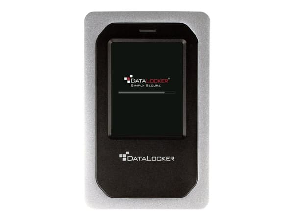 DataLocker DL4 FE - Harddisk - kryptert - 500 GB - ekstern (bærbar) - USB 3.2 (USB-C kontakt) - FIPS 140-2 Level 3, 256-bit AES-XTS - TAA-samsvar