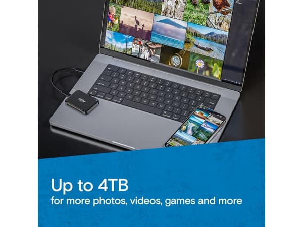 Crucial X9 - SSD - 4 TB - extern (bärbar) - USB 3.2 Gen 2 (USB-C-kontakt)