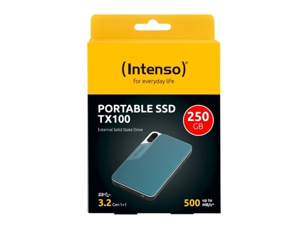 Intenso TX100 - SSD - 250 GB - extern (portabel) - USB 3.2 Gen 1x1 (USB-C kontakt) - gråblå