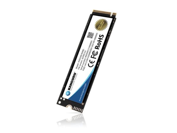 iStorage KSED300-NVME-2T, 500 GB, 3300 MB/s