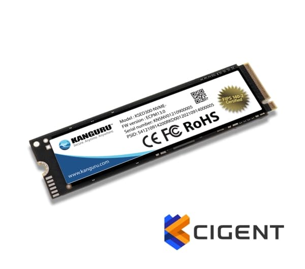 iStorage KSED300-NVME-2T, 500 GB, 3300 MB/s