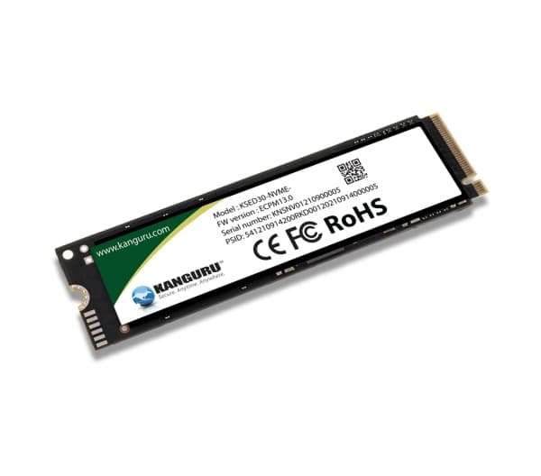 Kanguru SED30, 1,02 TB, M.2