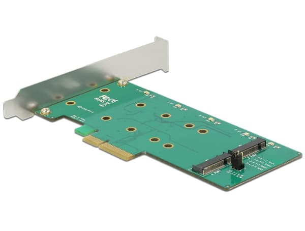 Delock PCI Express Card > 2 x internal M.2 Key B with RAID - Kontrollerkort - M.2 Card låg profil - 6 GBps - RAID 0, 1 - PCIe 2.0 x4