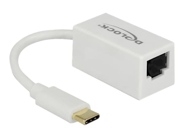 Delock - Nätverksadapter - USB 3.1 Gen 1 - Gigabit Ethernet x 1 - vit