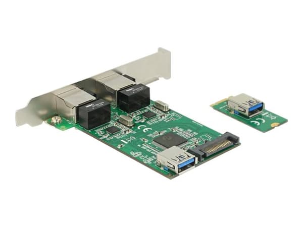 Delock Converter M.2 Key B+M male > 2 x Gigabit LAN - Low Profile Form Factor - Nätverksadapter - M.2 2242 låg profil - Gigabit Ethernet x 2