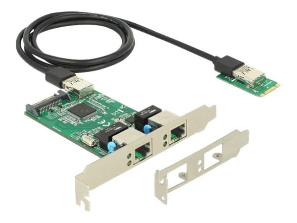 Delock Converter M.2 Key B+M male > 2 x Gigabit LAN - Low Profile Form Factor - Nätverksadapter - M.2 2242 låg profil - Gigabit Ethernet x 2 Grön