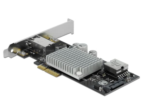 Delock PCI Express Card to 1 x 10GBase-T LAN PoE+ RJ45 - Nätverksadapter - PCIe 3.0 x4 - 10Gb Ethernet (PoE+)