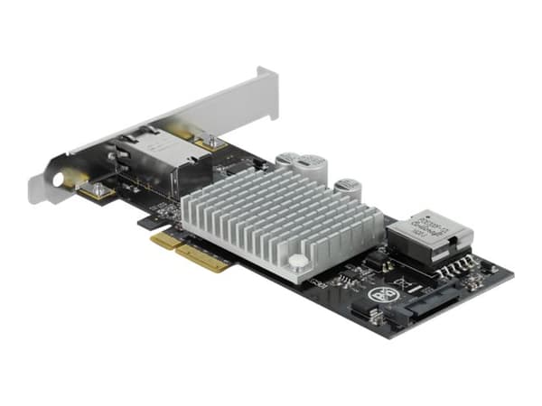 Delock PCI Express Card to 1 x 10GBase-T LAN PoE+ RJ45 - Nätverksadapter - PCIe 3.0 x4 - 10Gb Ethernet (PoE+)