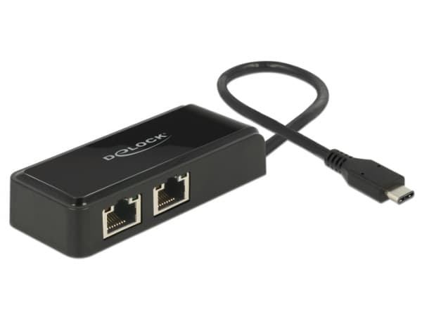 Delock Adapter USB-C 3.1 Gen 1 > 2 x Gigabit LAN 10/100/1000 Mb/s - Nätverksadapter - USB 3.1 Gen 1 - Gigabit Ethernet x 2 - svart