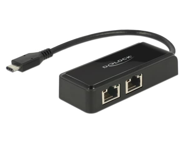 Delock Adapter USB-C 3.1 Gen 1 > 2 x Gigabit LAN 10/100/1000 Mb/s - Nätverksadapter - USB 3.1 Gen 1 - Gigabit Ethernet x 2 - svart