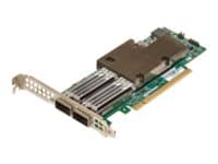 Broadcom NetXtreme E-Series P2100G - Nätverksadapter - PCIe 4.0 x16 låg profil - 100 Gigabit QSFP56 x 2 Grön, Gjuten aluminium
